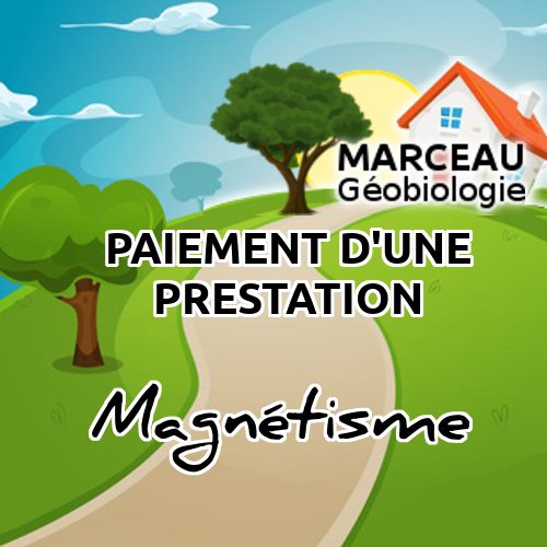 Bilan vibratoire objet uniquement sur photo